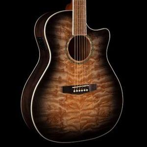 1610880336750-Cort GA QF TBB Grand Regal Series Semi Acoustic Guitar2.jpg